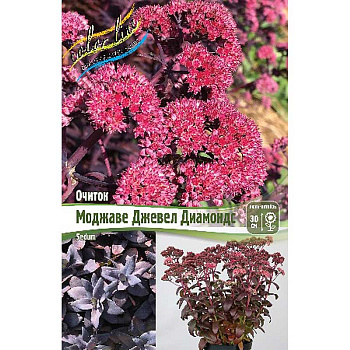 13488 Биг-Пак Очиток Моджаве Джевел Диамондс I 25 шт 