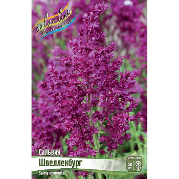 Сальвия Швелленбург I 1 шт