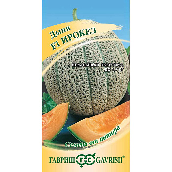 Дыня Ирокез Гавриш Ц