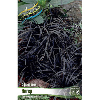 8267 Биг-Пак Офиопогон Нигер I 25 шт