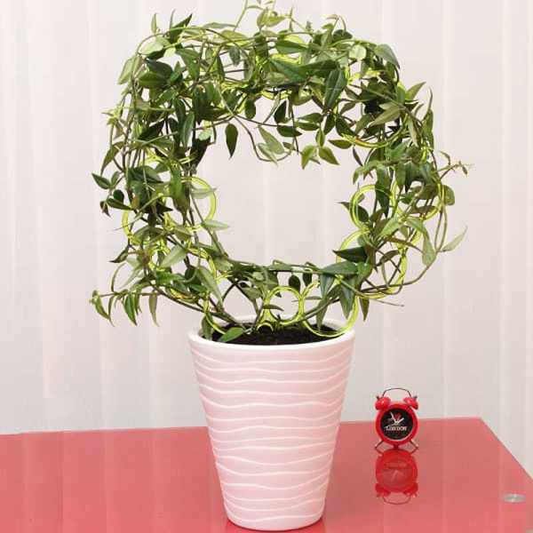 Опора для растений Диадема круглая малахит х80