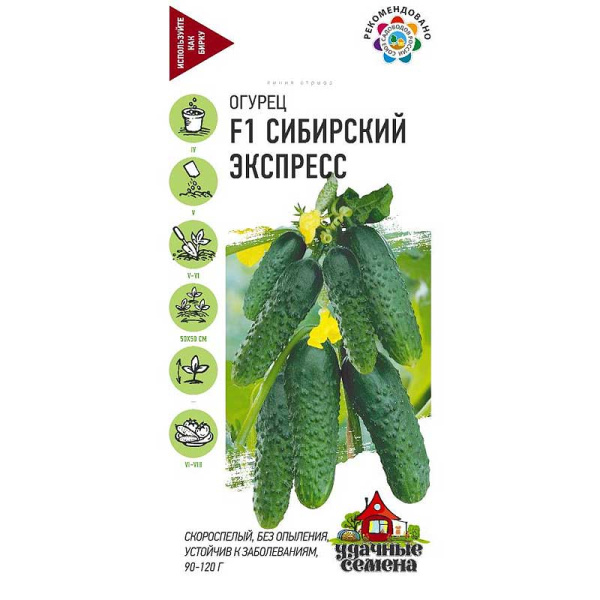 Огурец Сибирский экспресс Уд сем Гавриш Ц x10