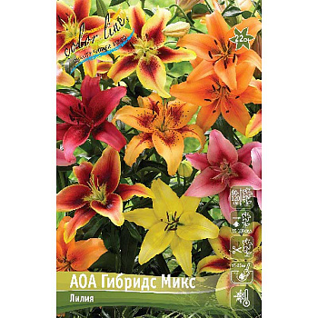 Лилия Аоа Гибридс Микс 12/14 5 шт 