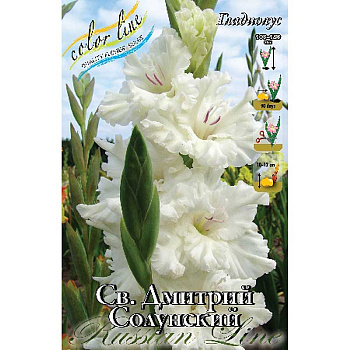 Гладиолус Св. Дмитрий Солунский 10/12 100 шт Шоу-Бокс 14065