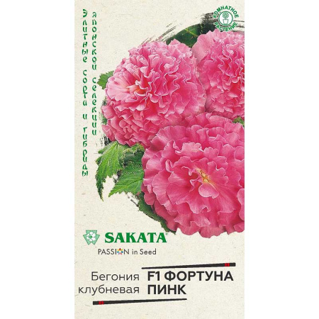 КОМ Бегония Фортуна Пинк Гавриш Цх10 