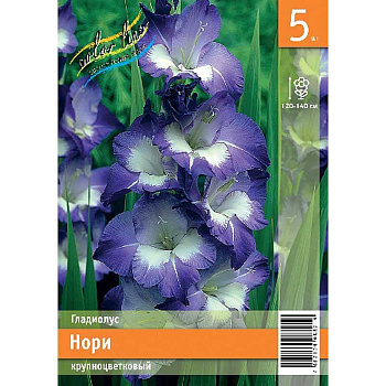 Гладиолус Нори 10/12 5 Эконом шт