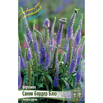 Вероника Санни Бордер Блю I 25 шт Биг-Пак 4240