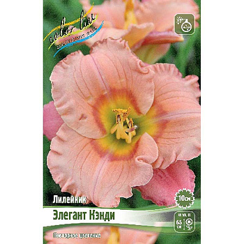 Лилейник Элегант Кэнди I 1 шт 
