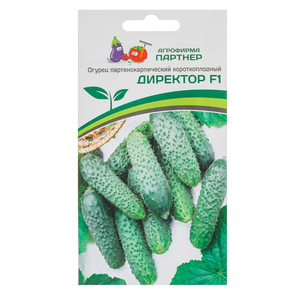 Огурец Директор Партнер Ц