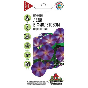 Ипомея Леди в фиолетовом Уд сем. Гавриш Ц 