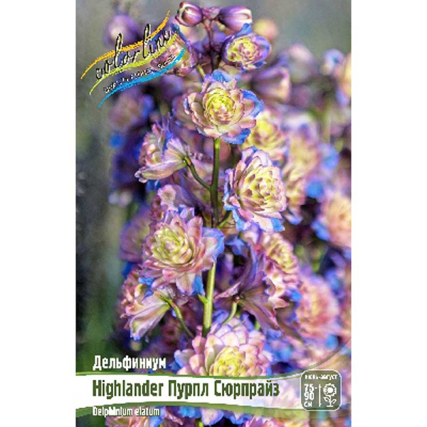 Дельфиниум Highlander Пурпл Сюрпрайз 3/5 n 1 шт