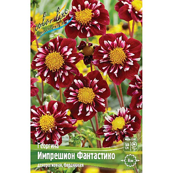 Георгина Импрешион Фантастико I 1 шт