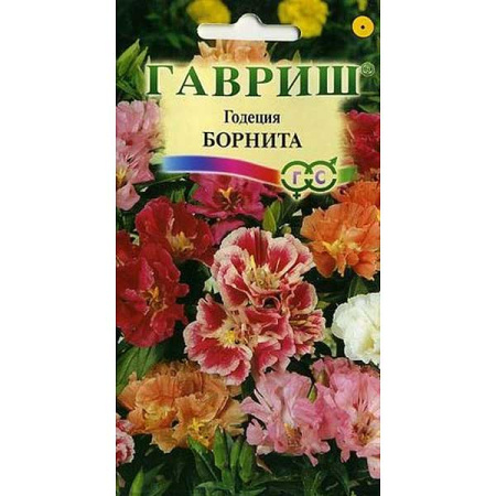 Годеция Борнита Гавриш Ц 