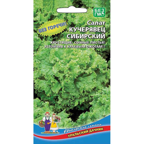 Салат Кучерявец Сибирский Марс Ц