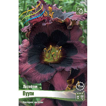 Лилейник Вуупи I 1 шт