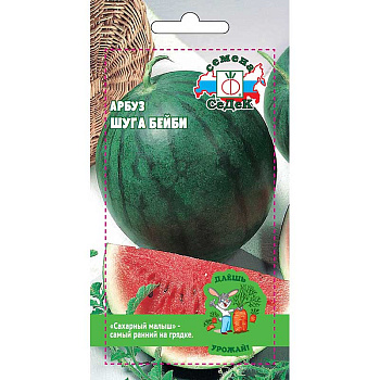 Арбуз Шуга бэби ДУ Седек Ц