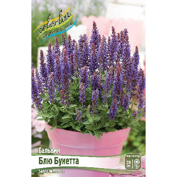 8563 Биг-Пак Сальвия Блю Букетта I 25 шт