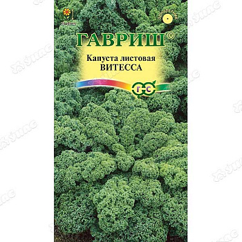Капуста Витесса листовая Гавриш Ц