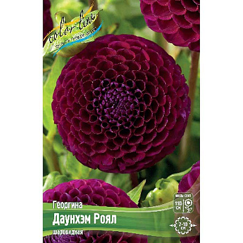 Георгина Даунхэм Роял I 1 шт