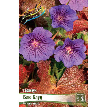 Гераниум Блю Блуд I 1 шт