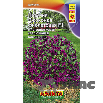 Петуния Джоконда фиолетовая Аэлита Ц 