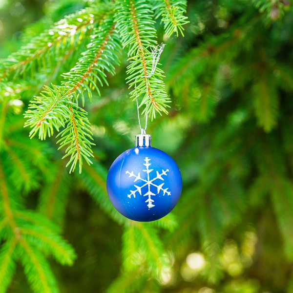 Набор елочных украшений JT25-HGS328 5см 6шт Шары синий (3шт с рисунком снежинка, 3шт фактурные долька) (240)