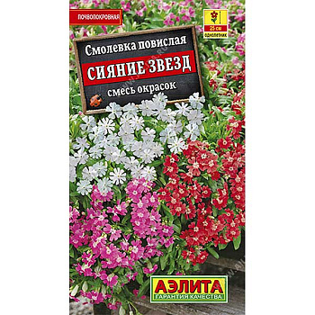 Смолевка Сияние звезд Аэлита Ц 