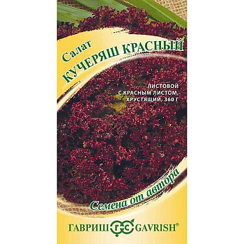 Салат Кучеряш красный Гавриш Ц