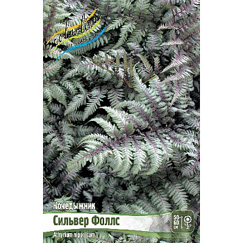 Кочедыжник Сильвер Фоллс I 25 шт Биг-Пак 4392 