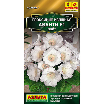 Ком Глоксиния Аванти вайт Аэлита Цх10 