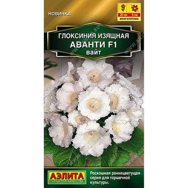 Ком Глоксиния Аванти вайт Аэлита Цх10 
