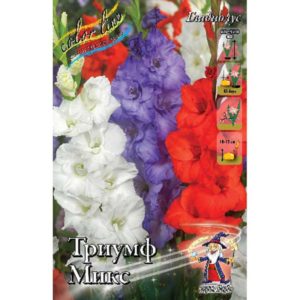Гладиолус Триумф Микс 10/12 6 шт 