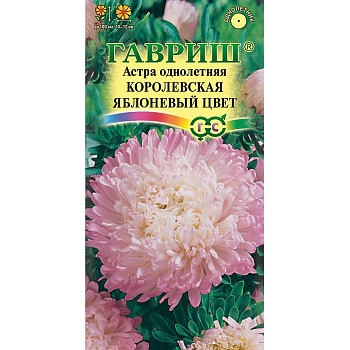 Астра Королевская яблоневый цвет Гавриш Ц 