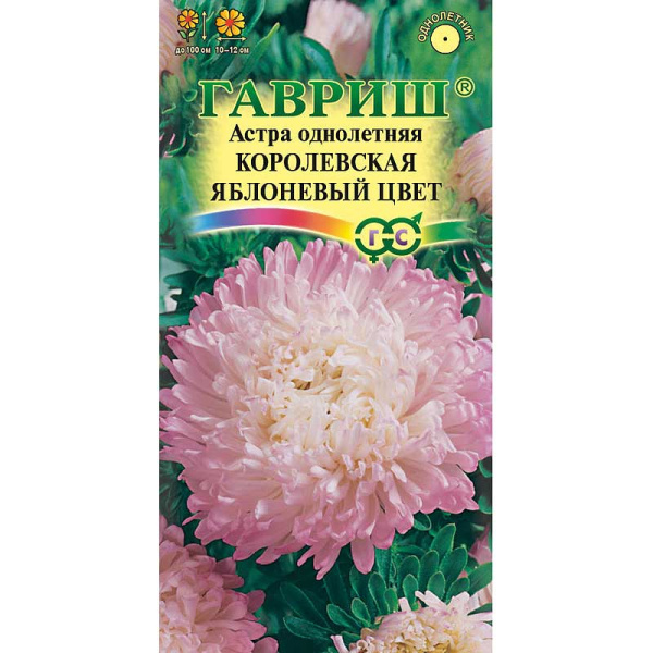 Астра Королевская яблоневый цвет Гавриш Ц 