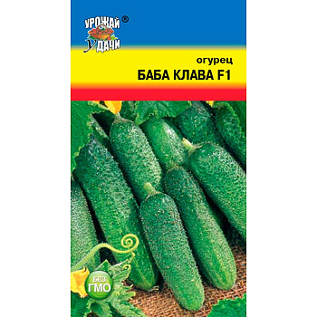 Огурец Баба-Клава Урожай у дачи Ц