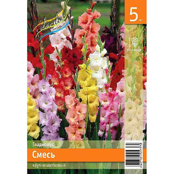 Гладиолус Смесь Крупноцветковых Сортов 10/12 100 шт Шоу-Бокс 16158