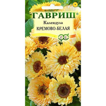 Календула кремово-белая Гавриш Ц 