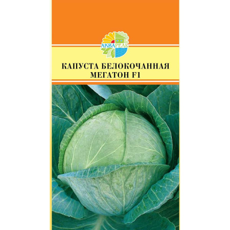 Капуста Мегатон Маринда/Акварель Ц