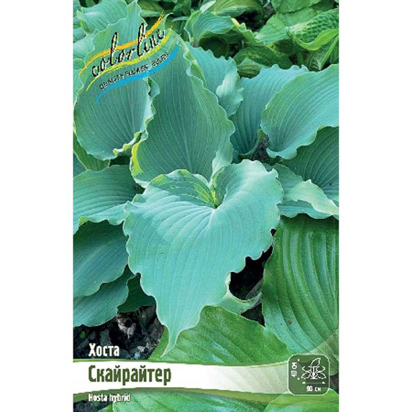 Хоста Скайрайтер 1 n 15 шт Биг-Пак 4143