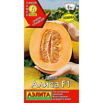 Дыня Алиса Аэлита Ц
