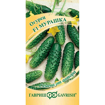Семена Огурец Мурашка Гавриш 5 шт Цх10