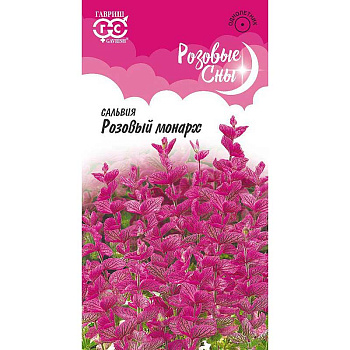 Сальвия Розовый монарх хорминум Гавриш Ц 