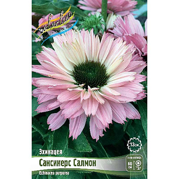 Эхинацея Сансикерс Салмон I 1 шт 