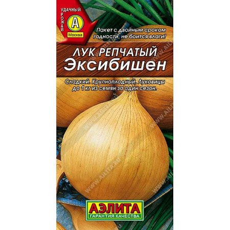 Лук Эксибишен Аэлита Ц