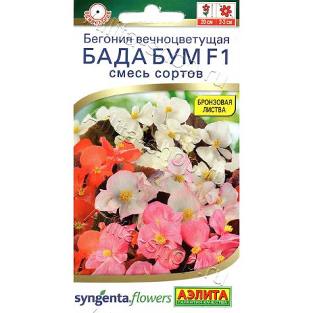 КОМ Бегония Бада бум смесь Аэлита Ц 