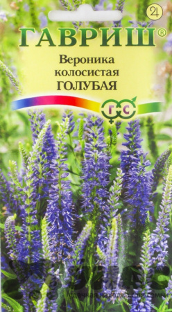 Вероника колосистая голубая Гавриш Ц 