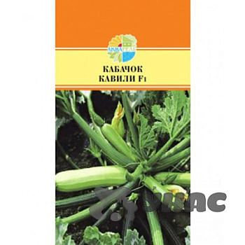 Кабачок Кавили Маринда/Акварель