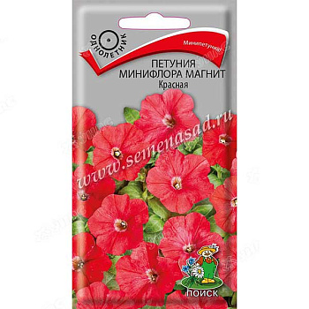 Петуния Магнит Красная с прожилками Поиск Ц 