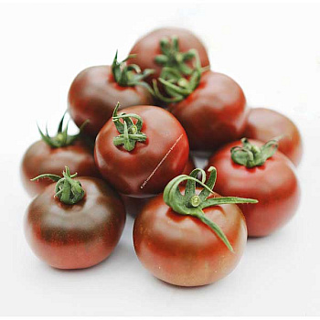 Семена Томат "Тайный игрок" Манул Ц