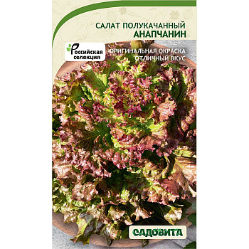 Салат Анапчанин 0,5гр Садовита Ц